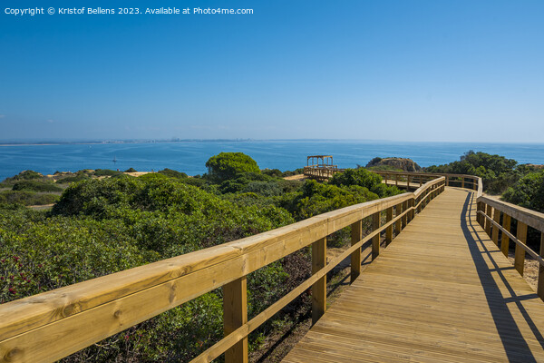 View on wooden elevated boardwalk at Lagos beach in Algarve, Portugal Picture Board by Kristof Bellens