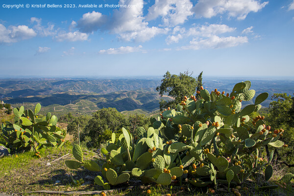 View from Picota near Monchique in Algarve, Portugal, into the valley of Serra de Monchique. Picture Board by Kristof Bellens