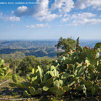 Buy canvas prints of View from Picota near Monchique in Algarve, Portugal, into the valley of Serra de Monchique. by Kristof Bellens