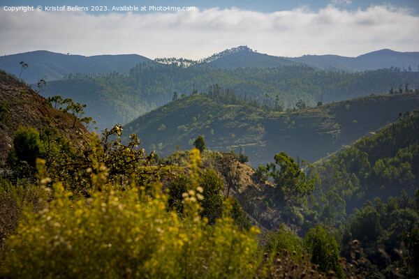 Mountain view over the Algarve in Portugal on the road between Monchique and Alferce Picture Board by Kristof Bellens