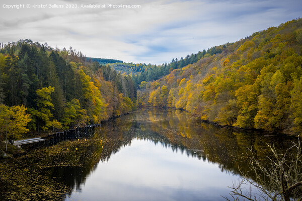 View on the river Ourthe in national park Two Ourthes in Wallonia, Belgium. Picture Board by Kristof Bellens