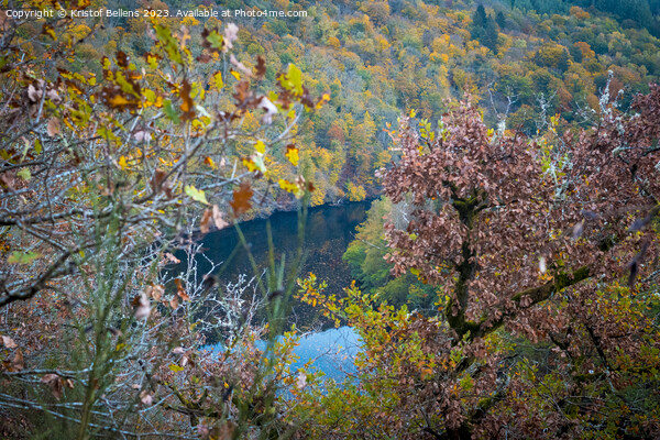 Colorful autumn forest scene with river flowing through the valley Picture Board by Kristof Bellens