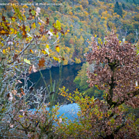 Buy canvas prints of Colorful autumn forest scene with river flowing through the valley by Kristof Bellens