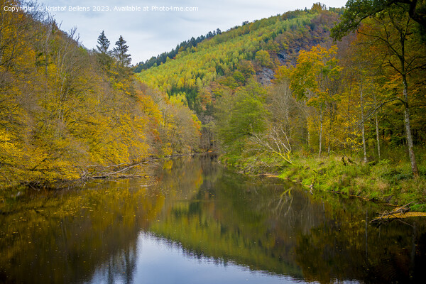View on the river Ourthe in the Belgian national park Two Ourthes in the Ardennes of Wallonia, Belgium during autumn Picture Board by Kristof Bellens
