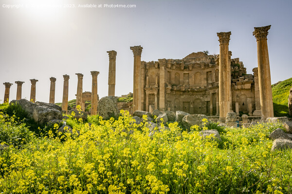 View on the Roman ruins of Nymphaeum at Gerasa, Jerash, Jordan Picture Board by Kristof Bellens