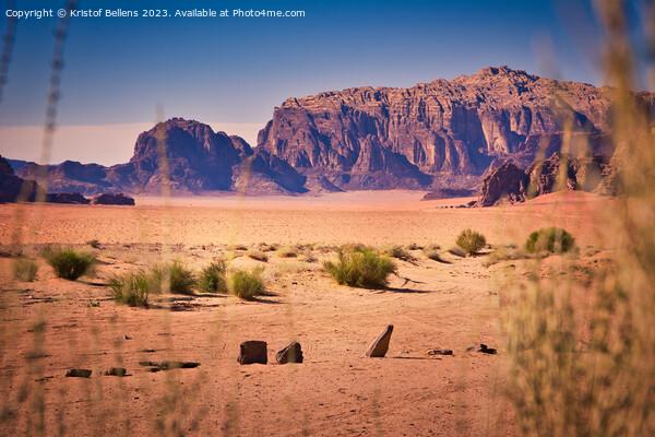 Desert view at Wadi Rum, Jordan during golden hour Picture Board by Kristof Bellens