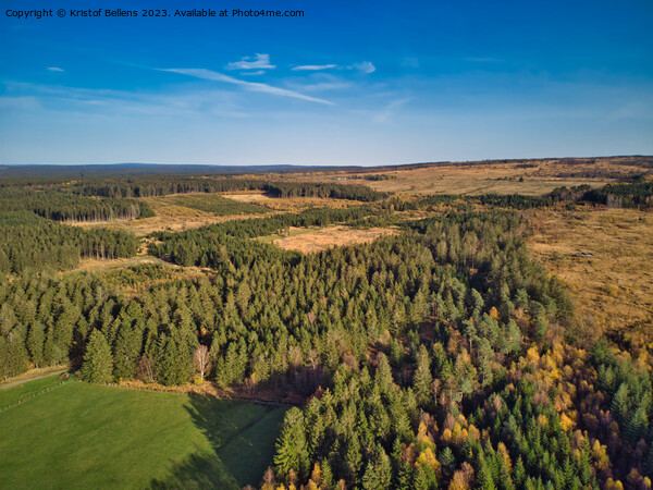 Aerial drone point of view of High Fens nature reserve in Ardennes of Wallonia, Belgium Picture Board by Kristof Bellens