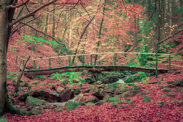 Foot bridge over a creek in the forest during a hike in autumn. Picture Board by Kristof Bellens