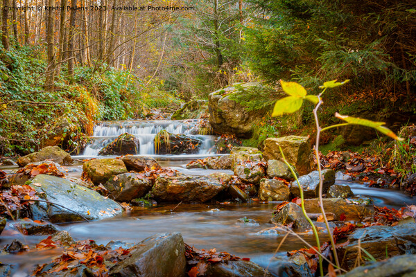 Autumn forest and river scene with waterfall. Long exposure. Seasonal vibes and warm atmosphere. Picture Board by Kristof Bellens