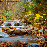 Buy canvas prints of Autumn forest and river scene with waterfall. Long exposure. Seasonal vibes and warm atmosphere. by Kristof Bellens