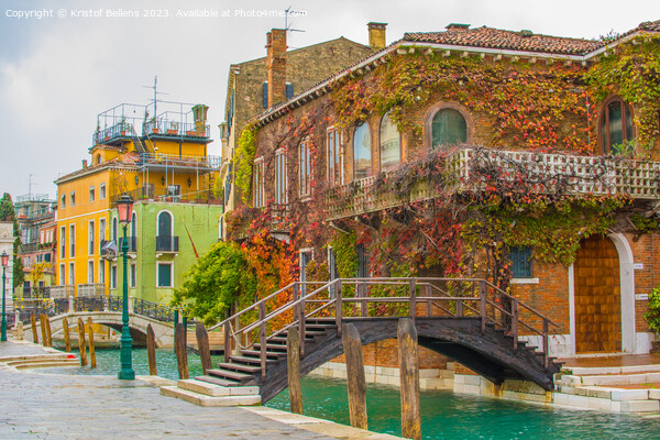 Travel and tourism in Venice: colorful canal houses Picture Board by Kristof Bellens