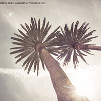 Buy canvas prints of Low angle view on palm trees in a tropical travel  by Kristof Bellens