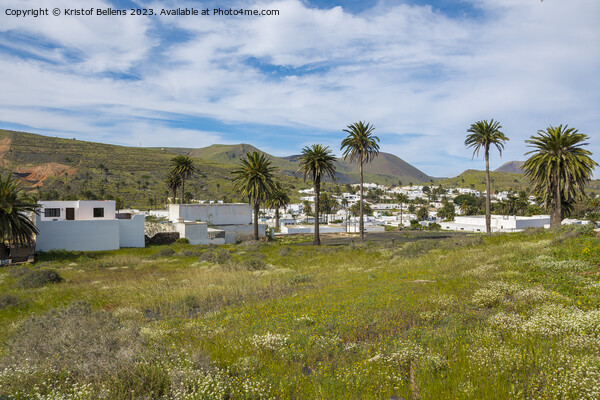 Landscape view on the small town of Haria on the Spanish Canary island Lanzarote. Picture Board by Kristof Bellens
