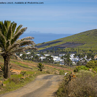 Buy canvas prints of View on Haria on Lanzarote and the valley of the thousand palms. by Kristof Bellens