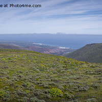 Buy canvas prints of Panoramic Lanzarote landscape during springtime. by Kristof Bellens