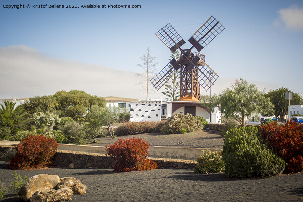 View on the Molina de Teguise, local wind on Lanzarote Picture Board by Kristof Bellens
