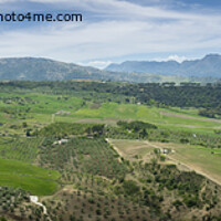 Buy canvas prints of Panoramic view on the pastures and landscape in Ronda, Andalusia surroundings. by Kristof Bellens