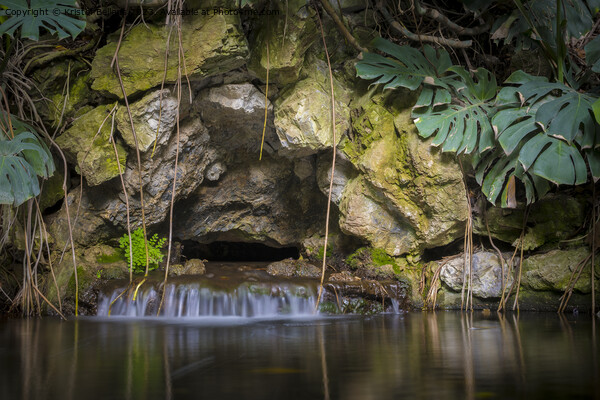 tropical garden pond with waterfall and rock wall Picture Board by Kristof Bellens