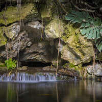 Buy canvas prints of tropical garden pond with waterfall and rock wall by Kristof Bellens