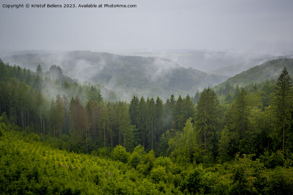 View on the rainy and foggy Ardennes forest in Wallonia Picture Board by Kristof Bellens