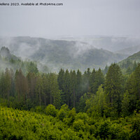 Buy canvas prints of View on the rainy and foggy Ardennes forest in Wallonia by Kristof Bellens