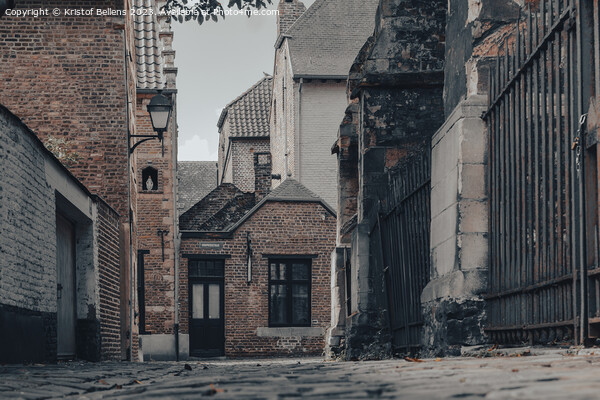 Low angle view of a street and houses in the Beguinage of Tongeren, Belgium Picture Board by Kristof Bellens