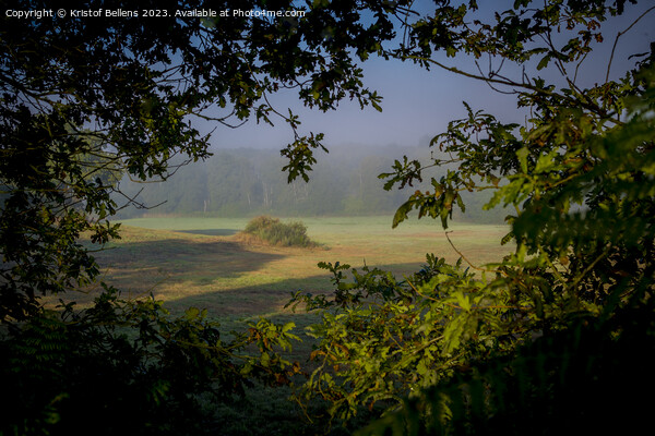 View on the nature and landscape of rural Galicia in Spain Picture Board by Kristof Bellens