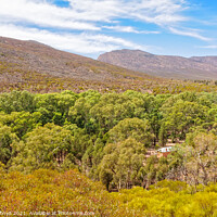 Buy canvas prints of Above Hills Homestead - Wilpena Pound by Laszlo Konya