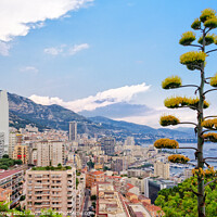 Buy canvas prints of View from the Jardin Exotique - Monaco by Laszlo Konya