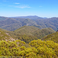 Buy canvas prints of Cradle Mountain - Tasmania by Laszlo Konya