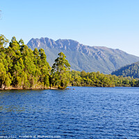 Buy canvas prints of Lake Rosebery in the West Coast Region of Tasmania by Laszlo Konya