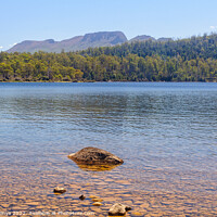 Buy canvas prints of Lake St Clair - Tasmania by Laszlo Konya