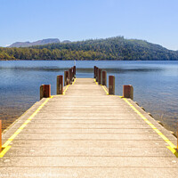 Buy canvas prints of View from the jetty at Lake St Clair - Tasmania by Laszlo Konya