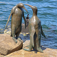 Buy canvas prints of Penguin scuptures on the waterfront - Hobart by Laszlo Konya