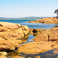 Buy canvas prints of Red rocks and blue water - Coles Bay by Laszlo Konya
