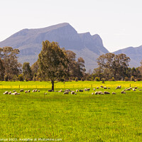 Buy canvas prints of Green pastures - Dunkeld by Laszlo Konya