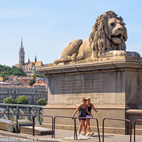 Buy canvas prints of Guardian lion - Budapest by Laszlo Konya