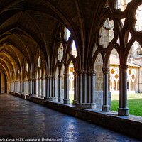 Buy canvas prints of Cloister of the Cathedral of Saint Mary - Bayonne by Laszlo Konya