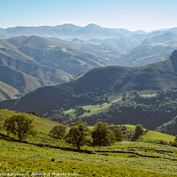 Buy canvas prints of Rolling hills - Saint-Jean-Pied-de-Port by Laszlo Konya