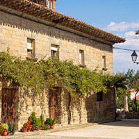 Buy canvas prints of Grape vine on old stone house - Viloria de la Rioja by Laszlo Konya