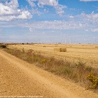 Buy canvas prints of Dirt road through the Meseta - Hornillos del Camino by Laszlo Konya