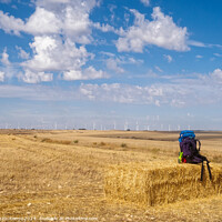 Buy canvas prints of Backpack on a haystack -  Hornillos del Camino  by Laszlo Konya