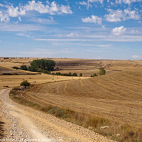 Buy canvas prints of Curving dirt road through the Meseta - Hornillos del Camino by Laszlo Konya