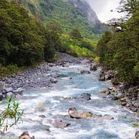 Buy canvas prints of Creek - Fiordland National Park by Laszlo Konya