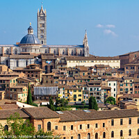 Buy canvas prints of Duomo from the Medici Fortress - Siena by Laszlo Konya