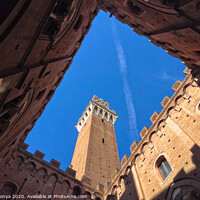 Buy canvas prints of Torre del Mangia from the Courtyard - Siena by Laszlo Konya