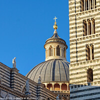 Buy canvas prints of Dome and Bell Tower of the Duomo - Siena by Laszlo Konya