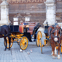 Buy canvas prints of Horse Carriage Driver - Seville  by Laszlo Konya