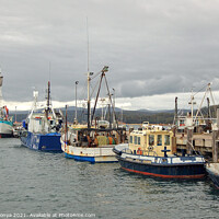 Buy canvas prints of Fishing fleet in Port of Eden Marina by Laszlo Konya