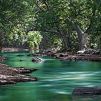 Buy canvas prints of  Rainforest river by Ian Turnell